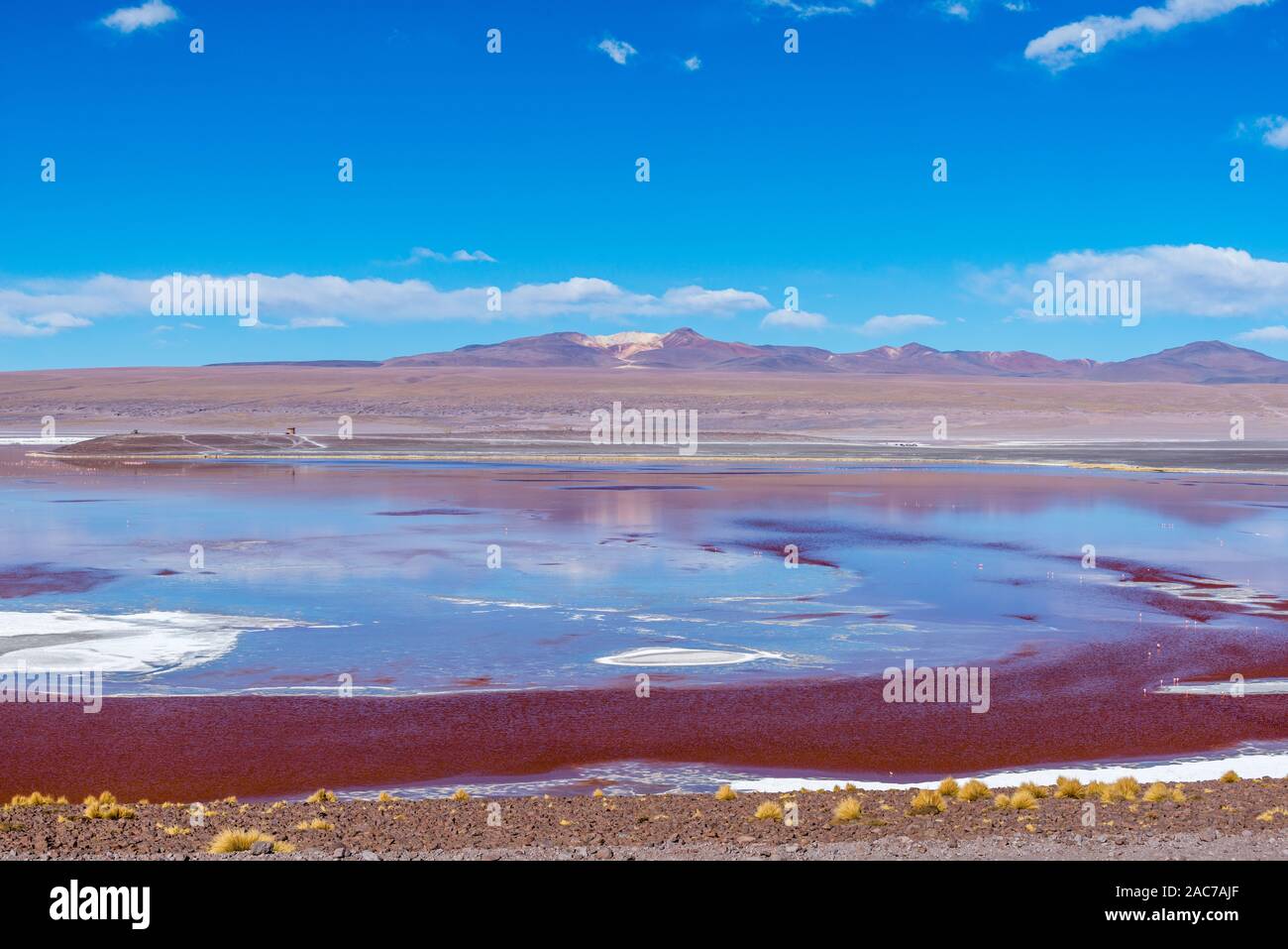 Laguna Colorada, Reserva de Fauna Andina Eduardo Avaroa, südlichen Altiplano, Abteilung Potosi, Anden, im Südwesten von Bolivien, Lateinamerika Stockfoto