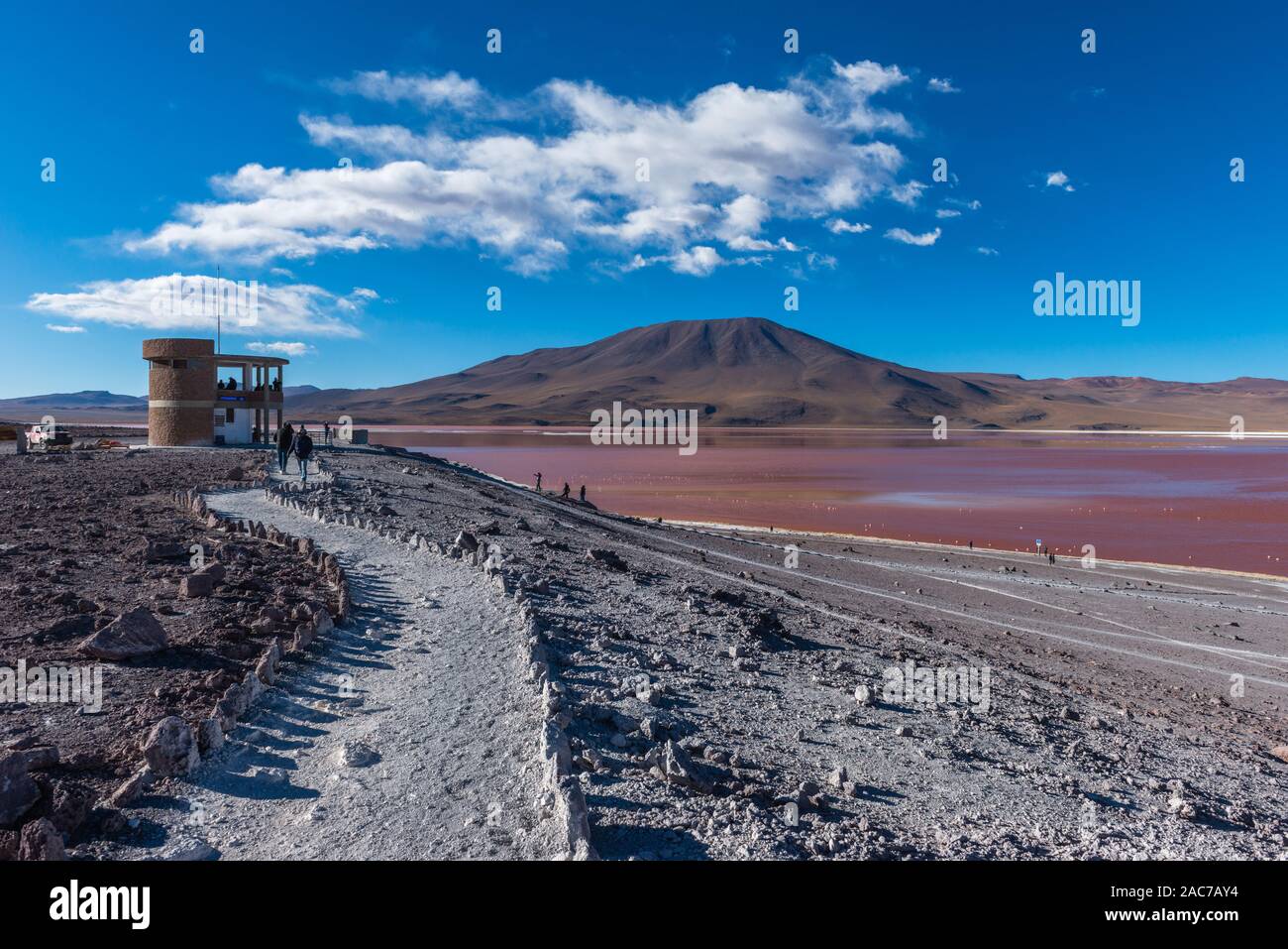 Laguna Colorada, Reserva de Fauna Andina Eduardo Avaroa, südlichen Altiplano, Abteilung Potosi, Anden, im Südwesten von Bolivien, Lateinamerika Stockfoto