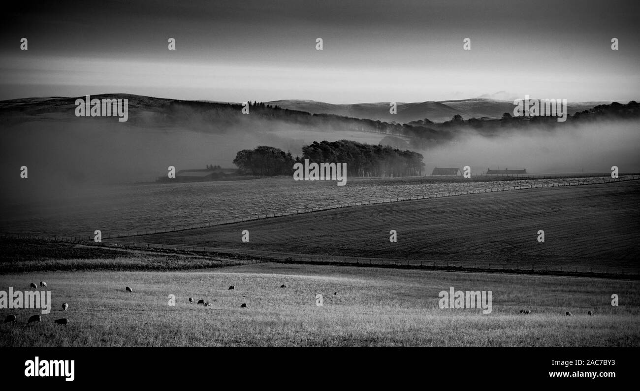 Dramatische Winterlandschaft in South Lanarkshire, Schottland Stockfoto