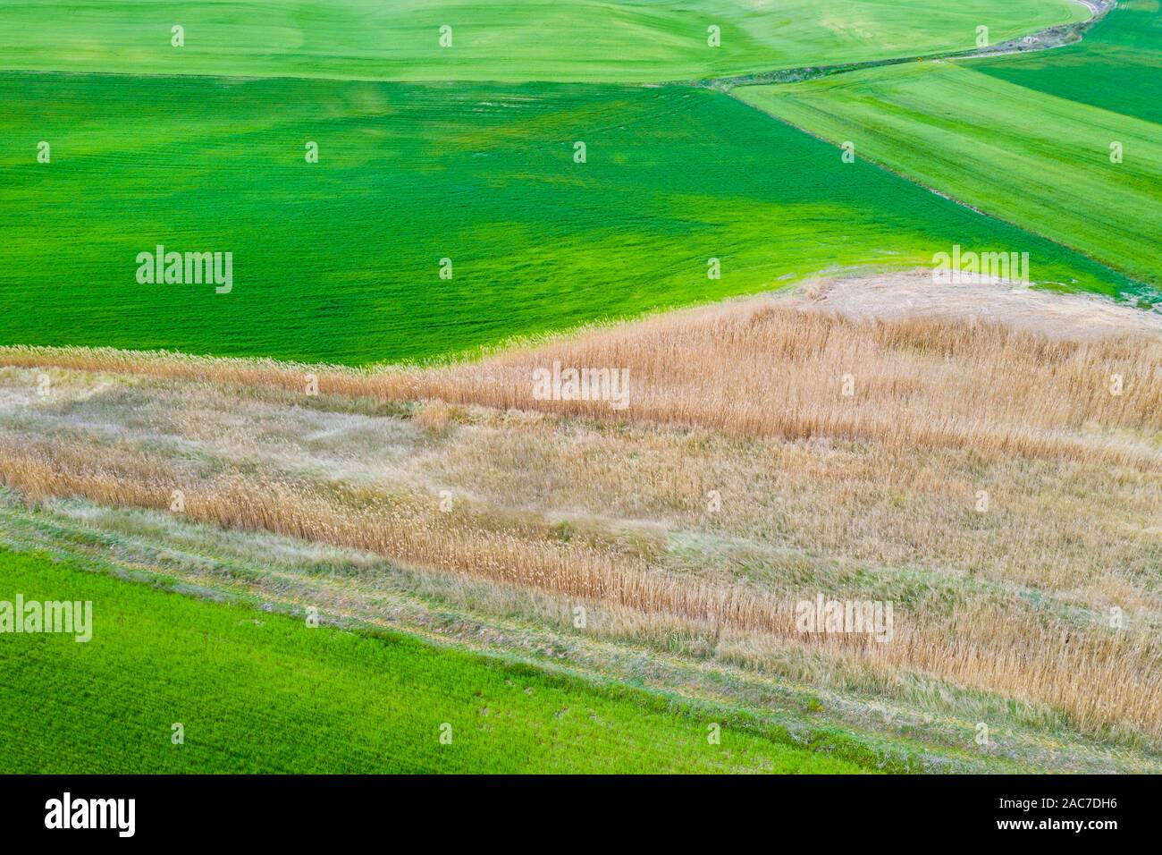 Landwirtschaftliche Fläche. Navarra, Stockfoto