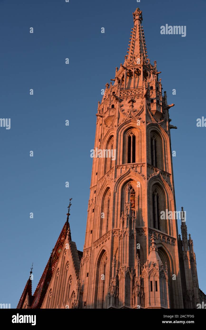 Die prächtigen Turm der Mátyás Kirche leuchtende in der späten Nachmittagssonne, die Pfarrkirche Unserer Lieben Frau Maria, Budapest, Ungarn, Europa. Stockfoto