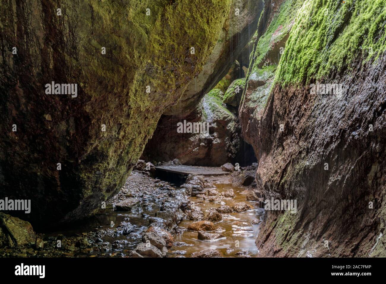 Bear Gulch unteren Höhle an einem regnerischen Tag. Stockfoto