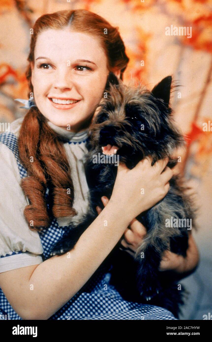 Der Zauberer von Oz 1939 MGMN Film mit Judy Garland mit Terry der Hund als  Toto Stockfotografie - Alamy
