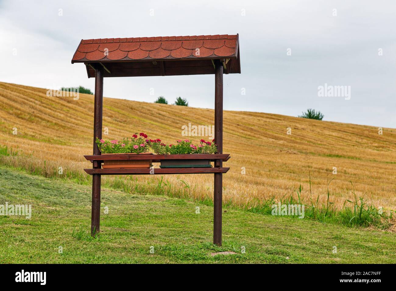 Slowenische schönen Sommer ländliche Landschaft mit Blumen und landwirtschaftlichen Bereich Stockfoto