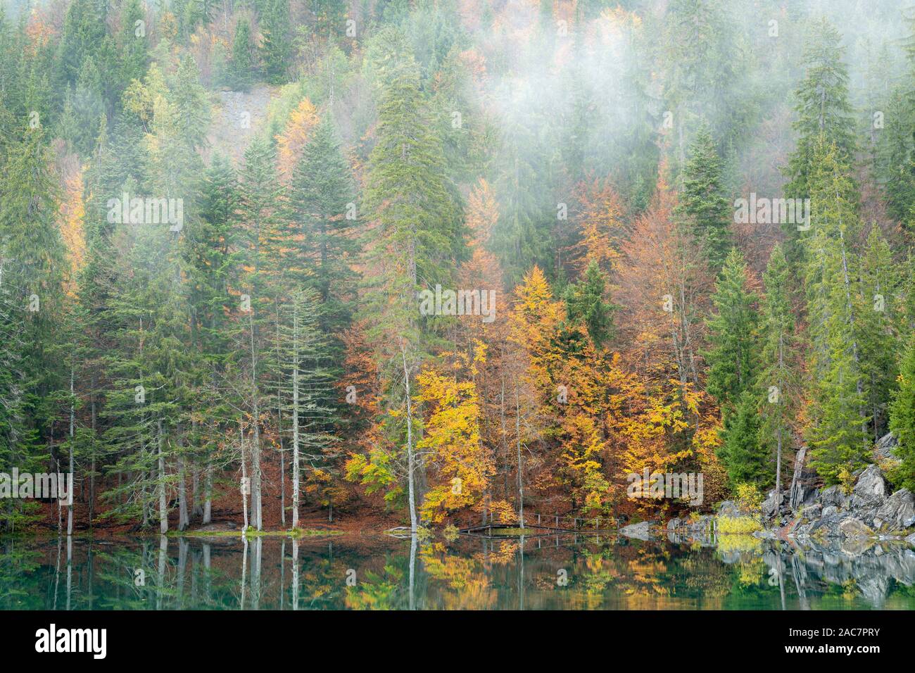 Am frühen Morgen, Misty Seeblick mit herbstlichen Farben Stockfoto