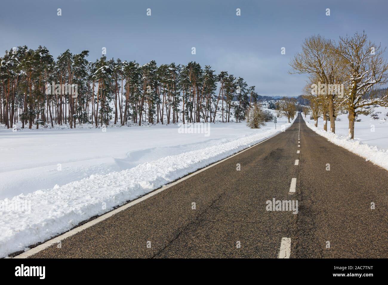 Bäume und Strasse in einer verschneiten Landschaft. Stockfoto