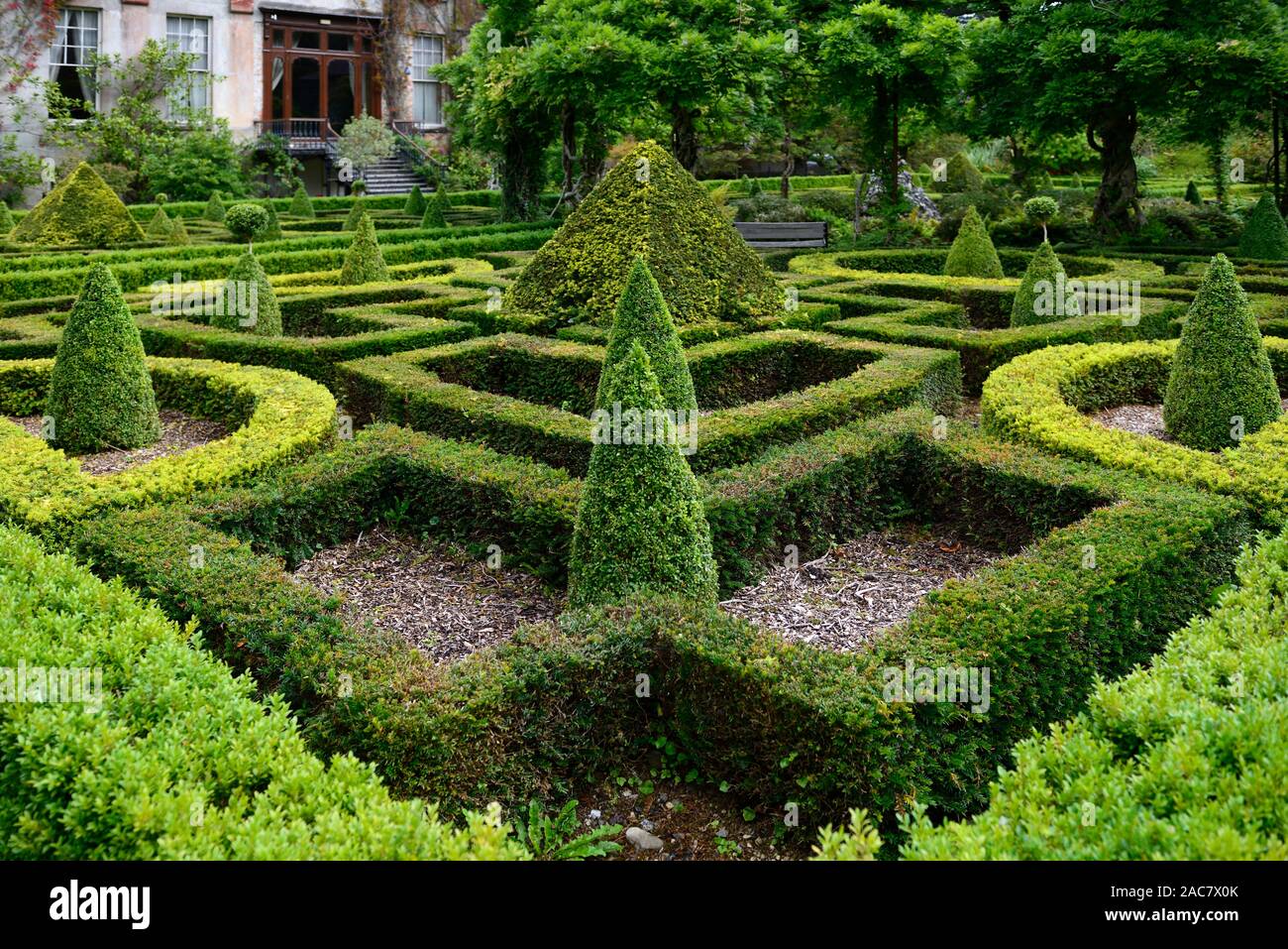 ,, Acer palmatum, Terrasse, Gärten, Bantry House & Gardens, West Cork Garden Trail, RM Floral Stockfoto