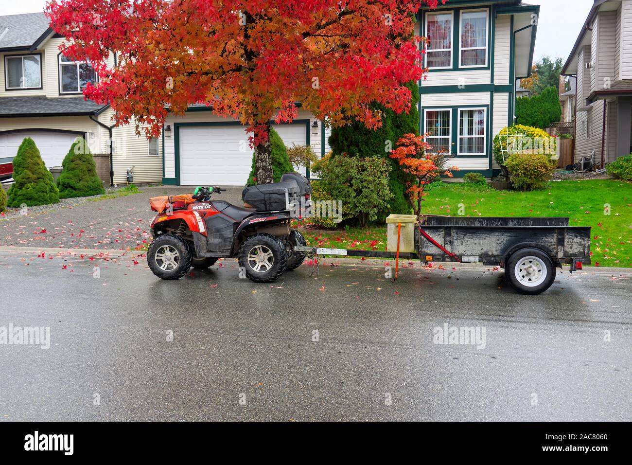 Arctic Cat 50 ATV zu einem Anhänger in einer Wohnstraße mit einem Haus und Sweet Gum Tree mit falllaub geparkt angespannt. Pitt Meadows, B.C., Kanada Stockfoto