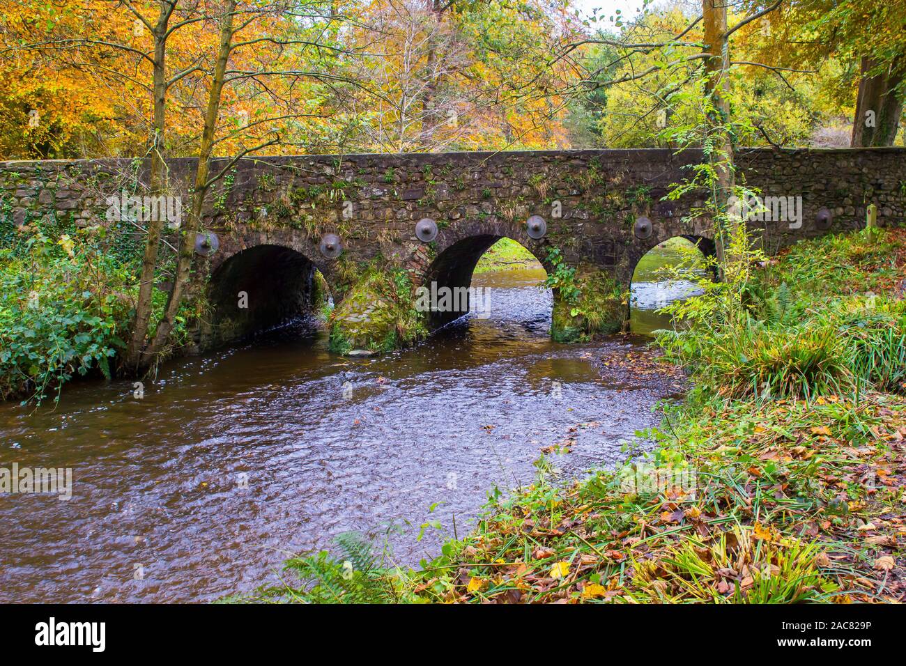 Die Minnowburn Brücke an der National Trust site an Shaw's Bridge belfasto Stockfoto