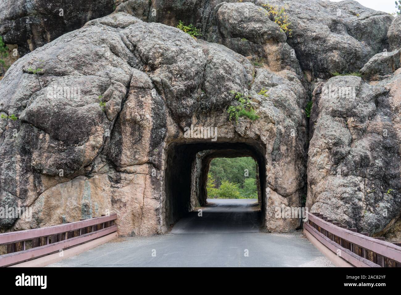 Tunnel entlang den Needles Highway in den Black Hills von South Dakota Stockfoto