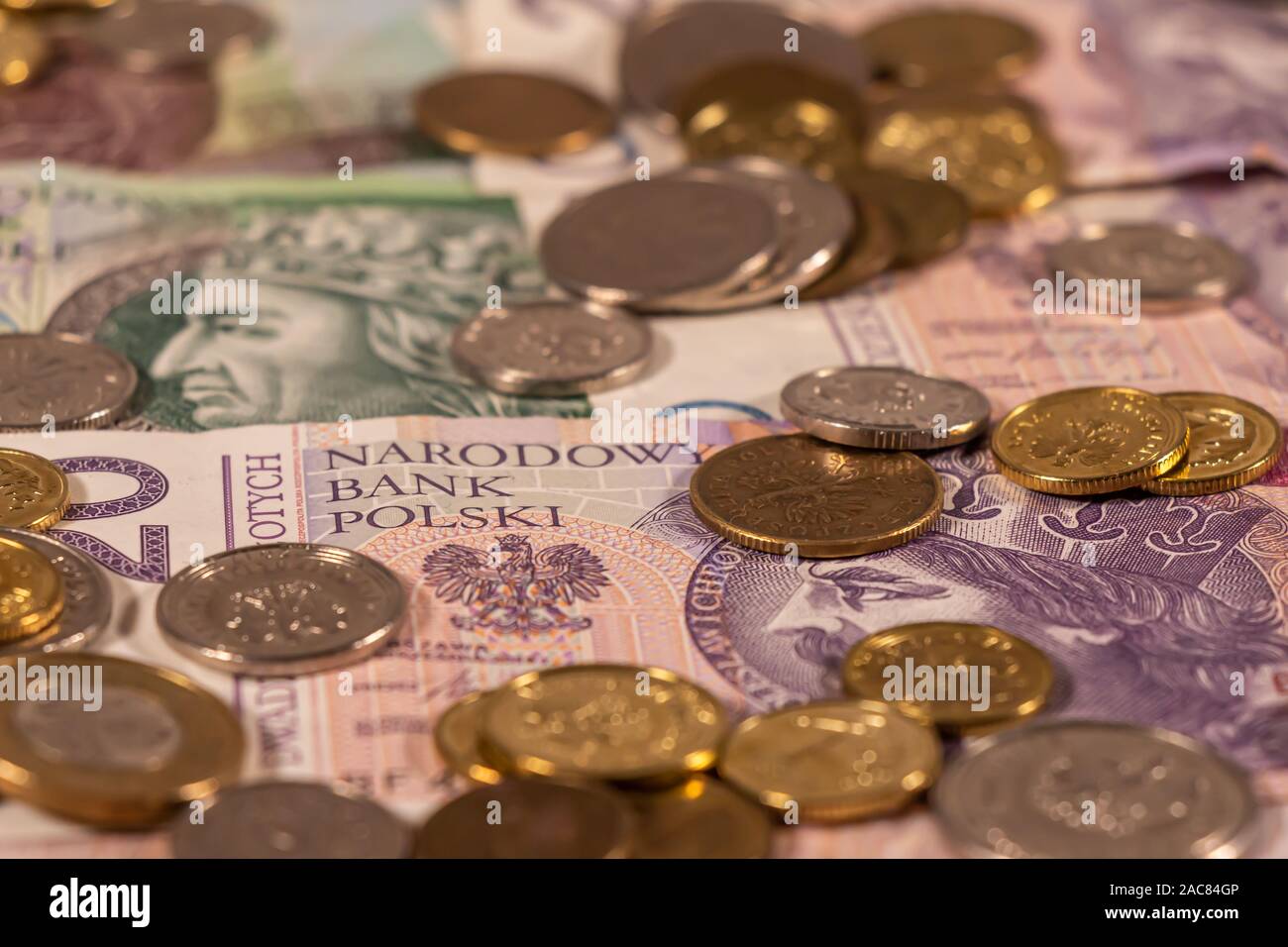 Polnischer Zloty. PLN Banknoten und Münzen bietet große Möglichkeiten für die Illustration von Themen wie Handel, Banken, Medien verwendet werden, Präsentationen etc. Stockfoto