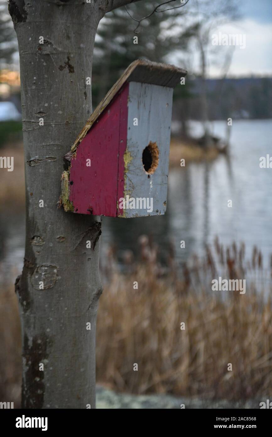 Vogelhaus verwittert - Nest zu Baum genagelt - Bird House im Winter durch einen See - alte Vogelhaus im Herbst von einem Teich - Vogelhaus Nistkasten aufhängen lackiert Stockfoto
