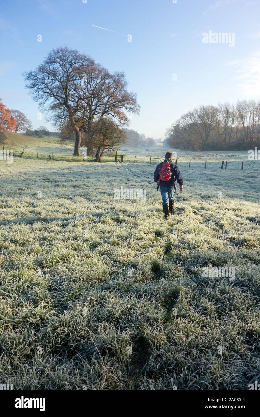 Man Walking im Winter in einem eisigen eisigen Feld in Betchton Vale Sandbach in der Landschaft von Cheshire England Stockfoto