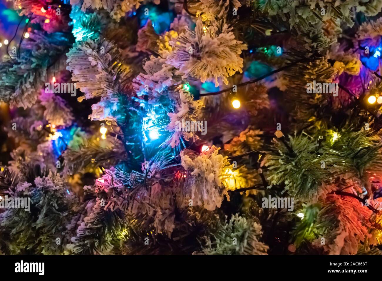Weihnachten Baum außerhalb Straße Dekoration mit Licht. Selektive konzentrieren. Stockfoto