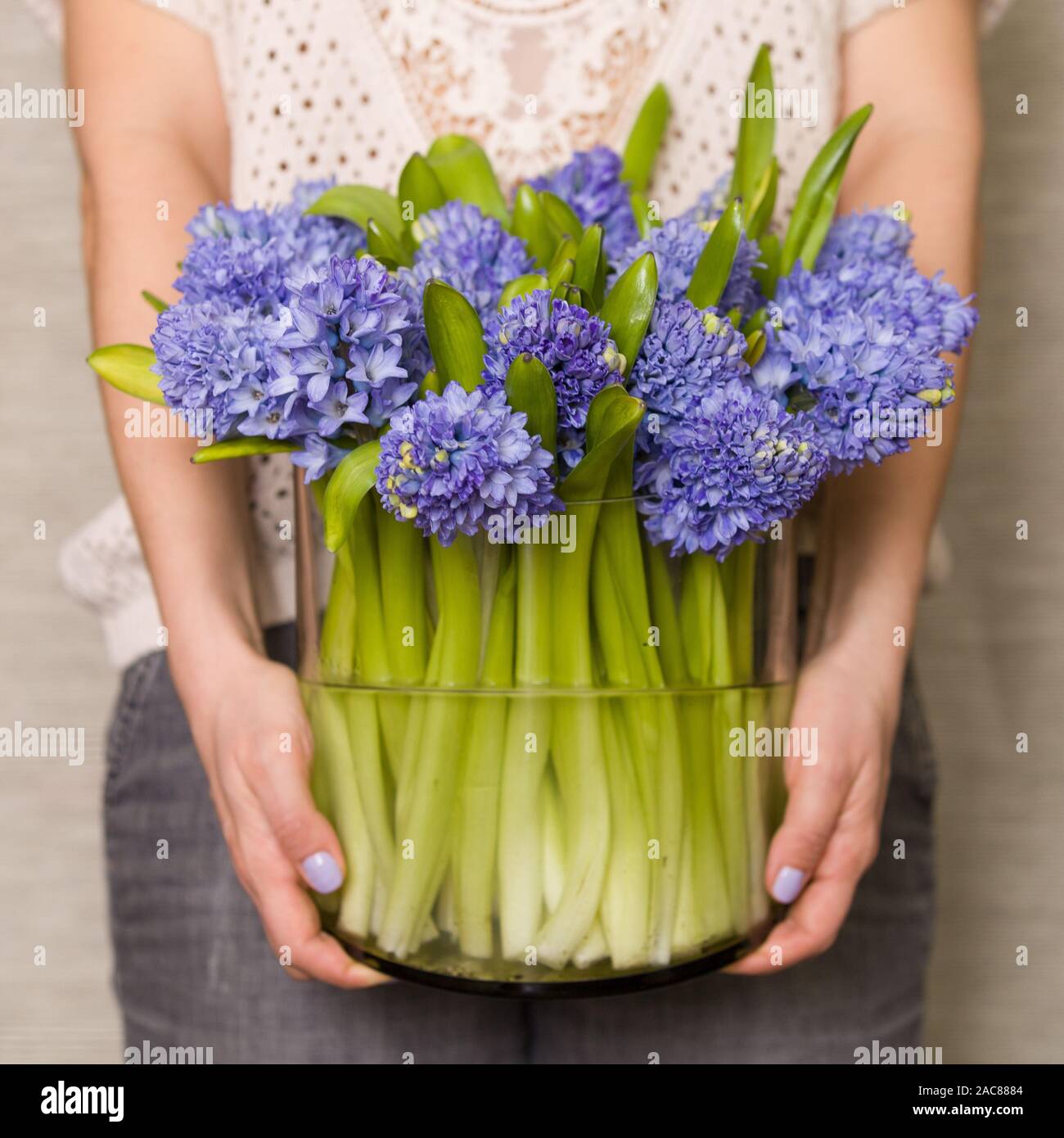 Frau mit einem großen Glas Vase voller frischer Hyazinthen in ihren Händen. Dekoration für Ostern. Schöne Blumen aus dem Garten. Stockfoto