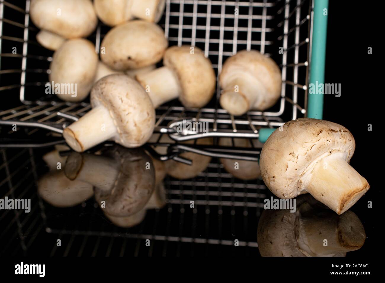 Menge ganze frische weiße Champignon auf Warenkorb auf schwarzem Glas isoliert Stockfoto