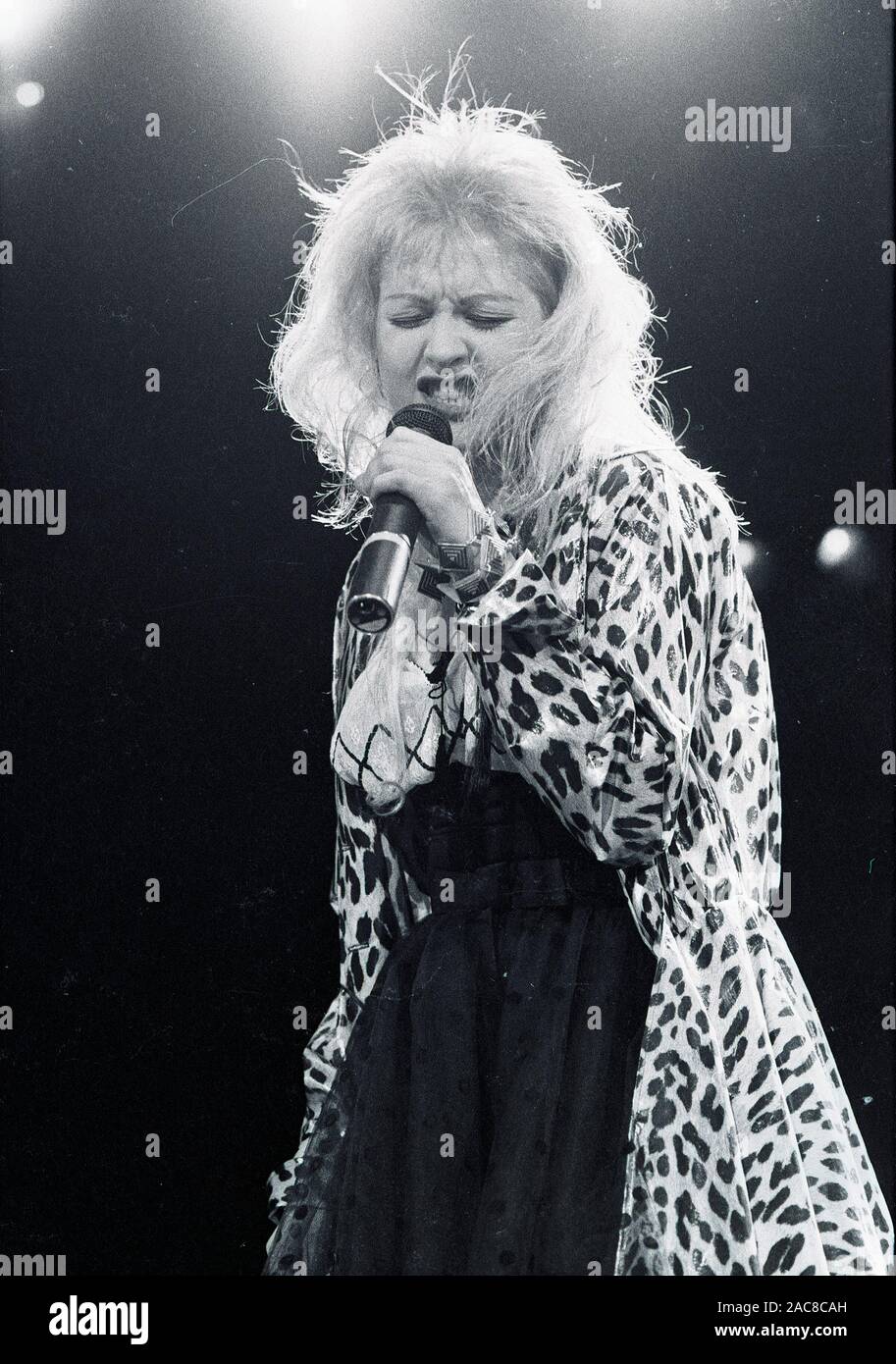 Cyndi Lauper Singen im "True Colors" Tour Konzert am Worcester Centruim in Worcester, Ma USA 1980 Foto's von Bill belknap Stockfoto