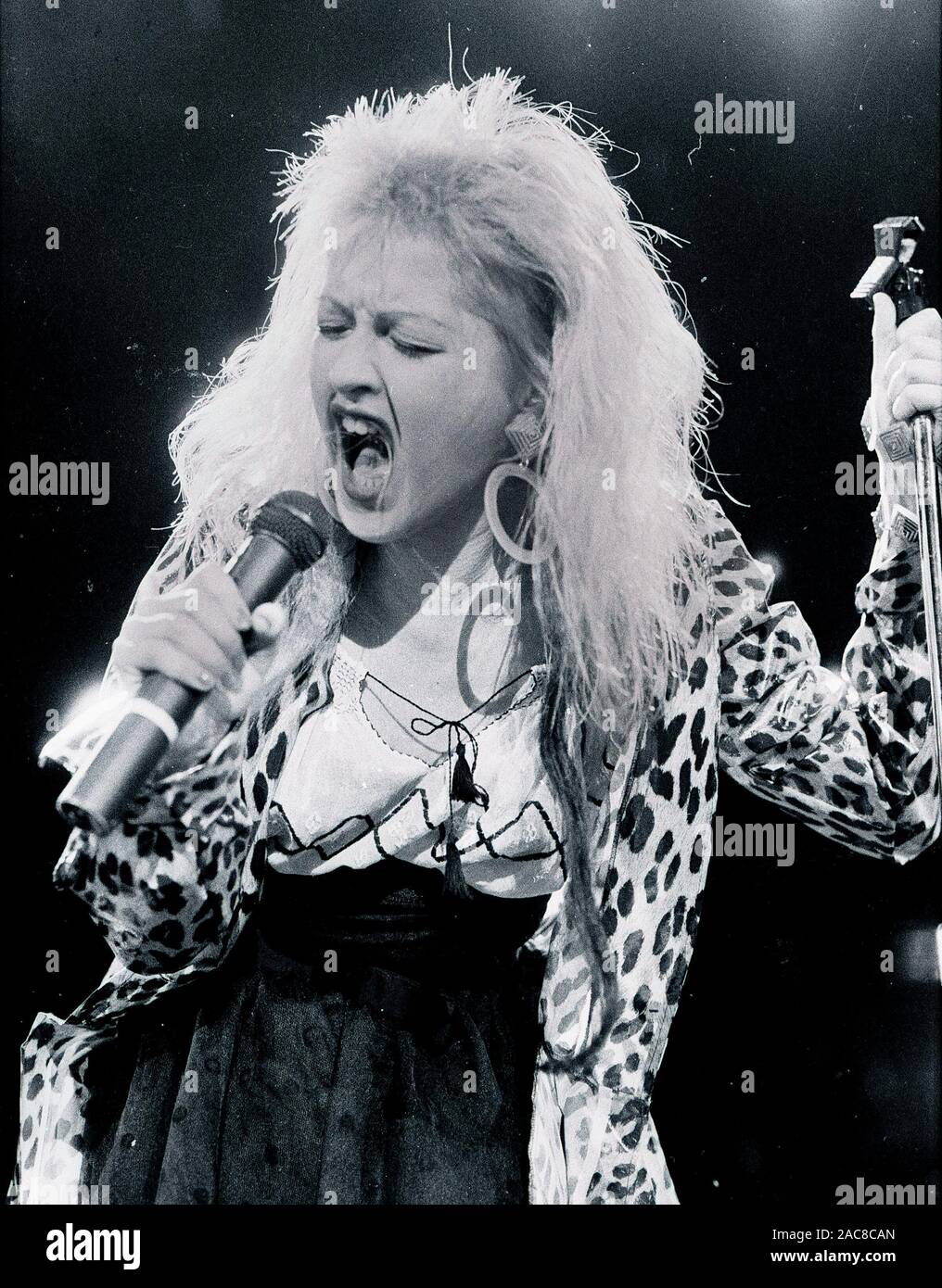 Cyndi Lauper Singen im "True Colors" Tour Konzert am Worcester Centruim in Worcester, Ma USA 1980 Foto's von Bill belknap Stockfoto