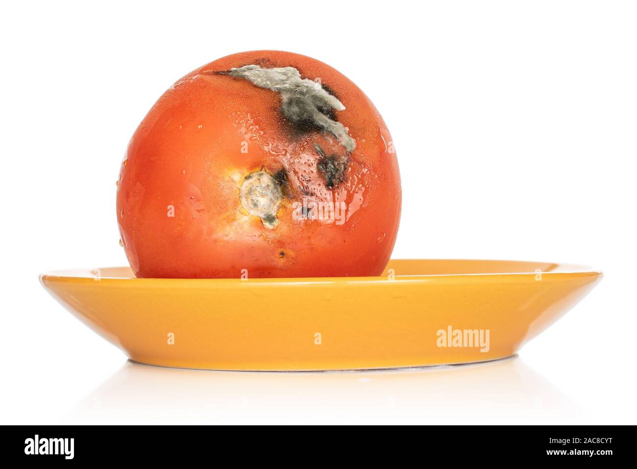 Ein ganzes abgestanden rote Tomate orange Platte auf weißem Hintergrund Stockfoto