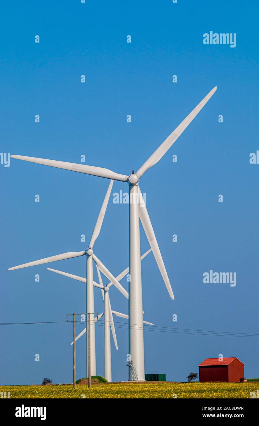 Windenergieanlagen im Feld mit blauem Himmel Stockfoto