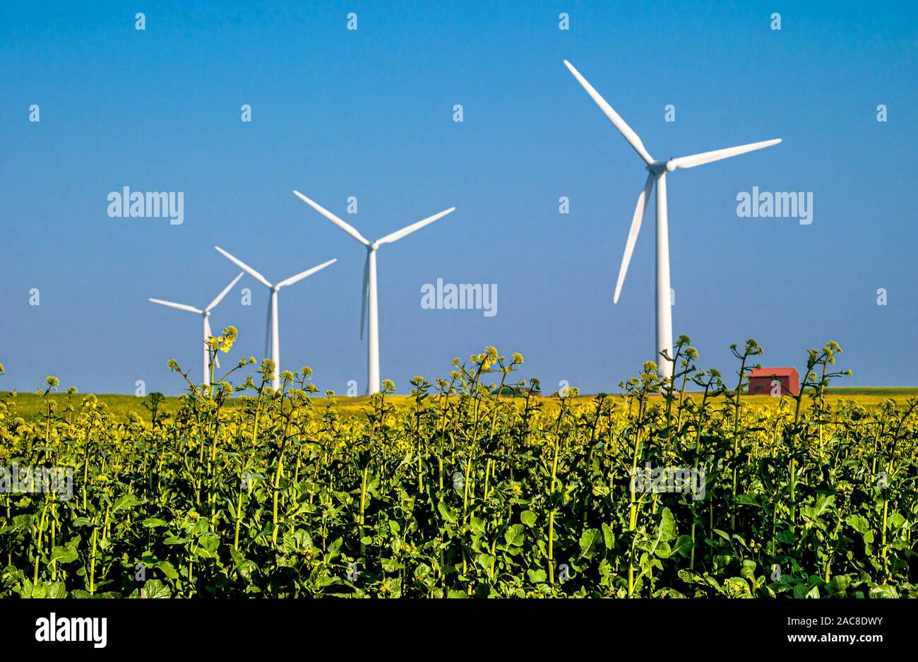 Windenergieanlagen im Bereich der Stromerzeugung in einer nachhaltigen Art und Weise Stockfoto