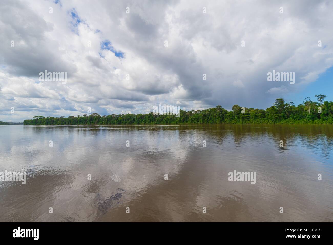 Braunes Wasser und das Grün der Bäume auf den Suriname Fluss in Südamerika in der Nähe von Französisch-guayana. Stockfoto