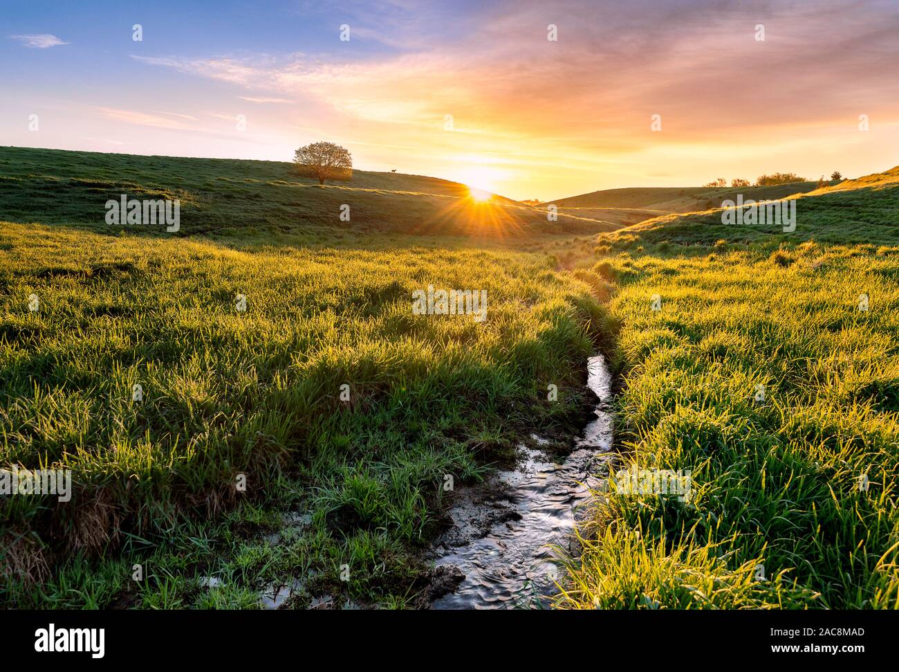 Stream läuft durch das Feld im Sommer Stockfoto