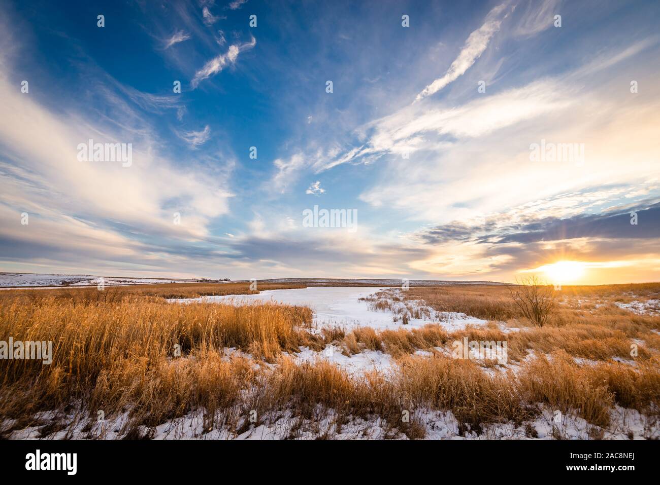 Der Teich an einem schönen Wintertag in Minnesota Stockfoto