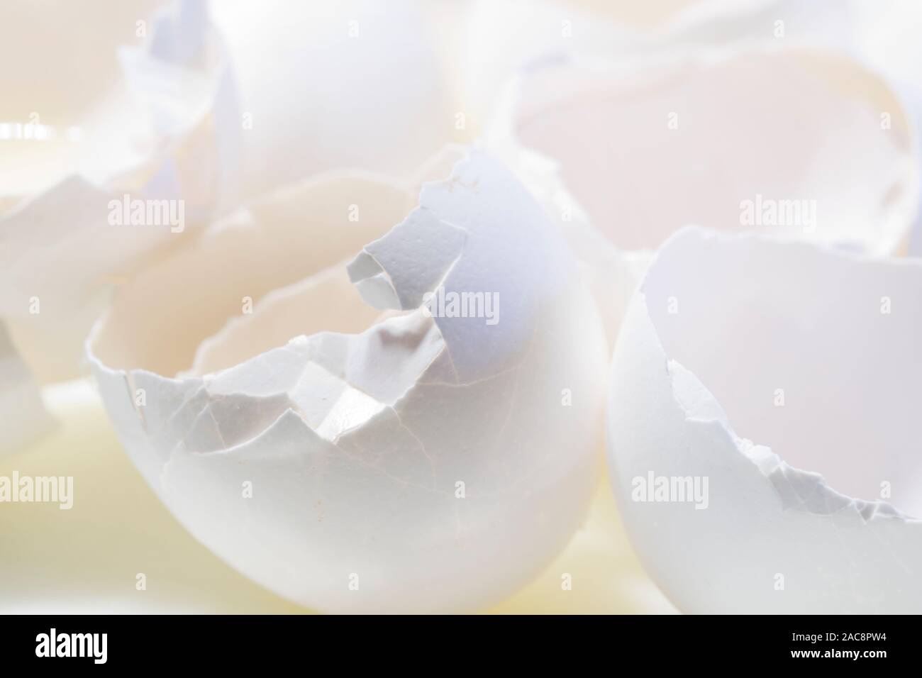 Schließen Sie herauf Foto der gebrochenen Eierschalen. Stockfoto
