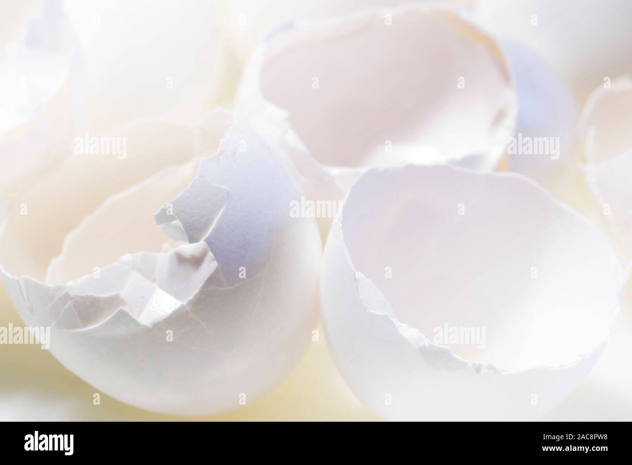 Schließen Sie herauf Foto der gebrochenen Eierschalen. Stockfoto