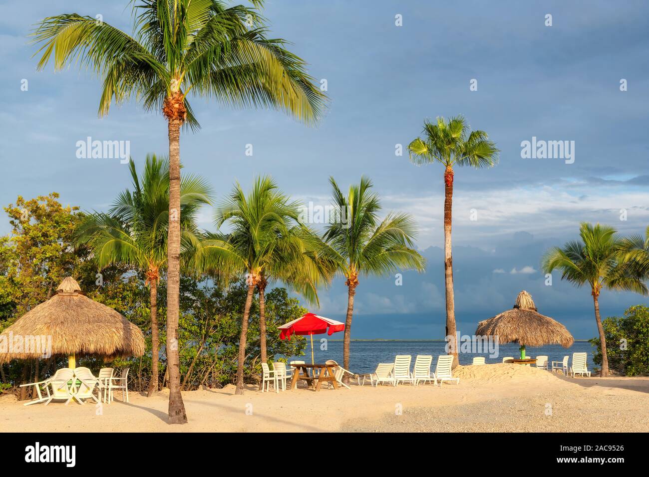 Liegestühle unter Sonnenschirmen an sonnigen tropischen Strand in Florida Keys Stockfoto