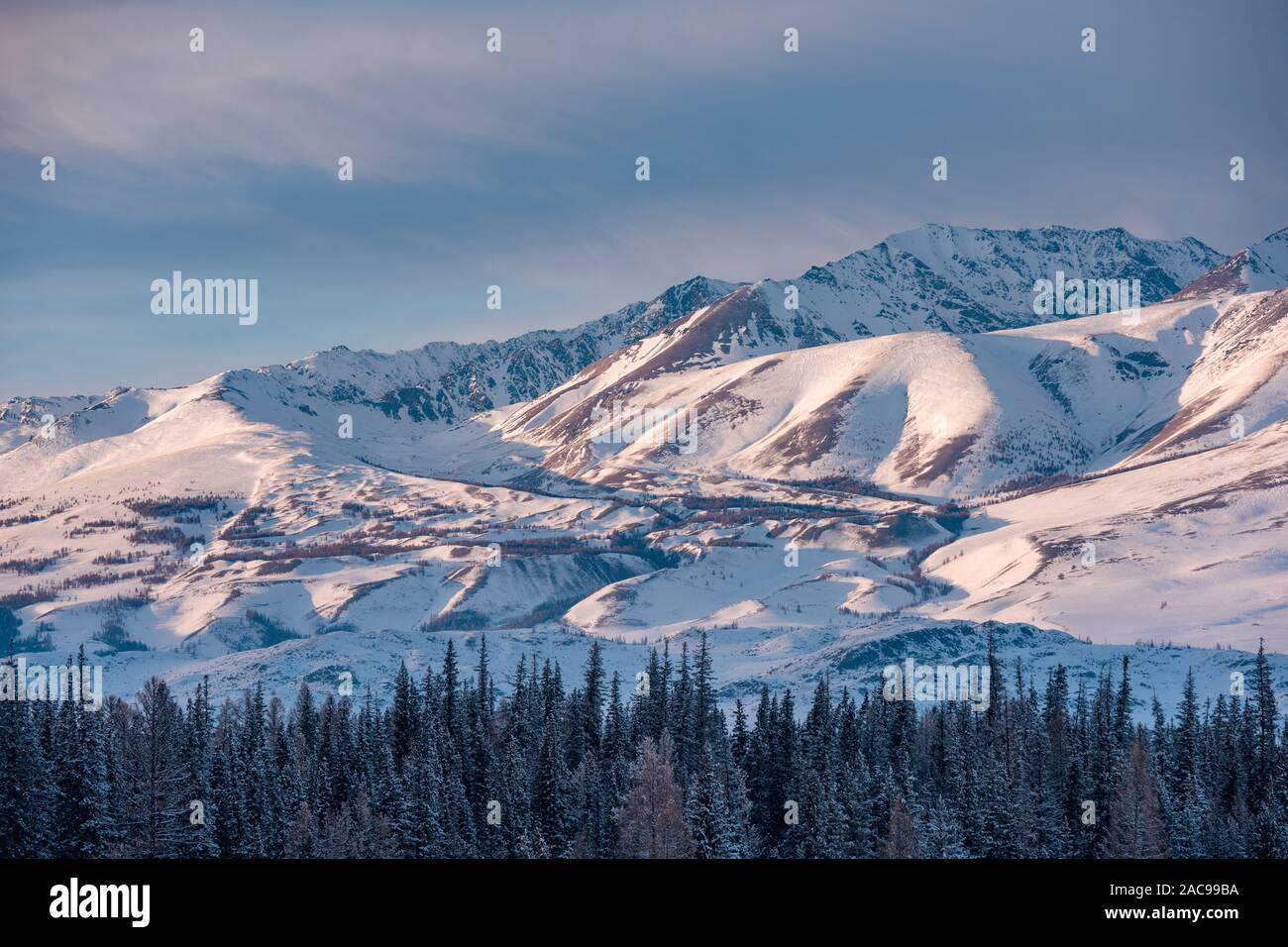 Schöne Winterlandschaft mit Schnee und Morgen in den Bergen Stockfoto