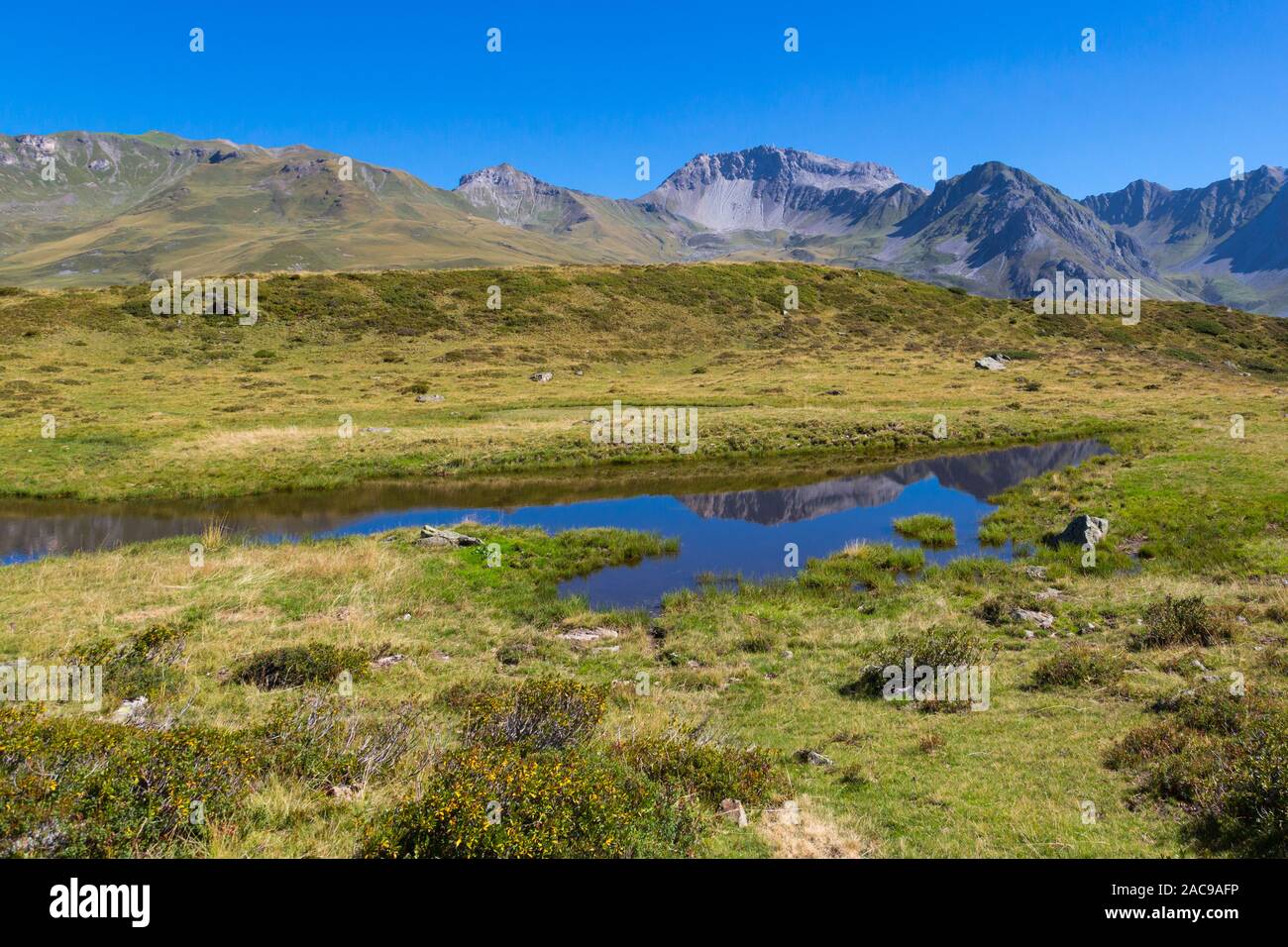 Weissfluhjoch Berg der Schweiz, blauer Himmel, grüne Wiesen Stockfoto