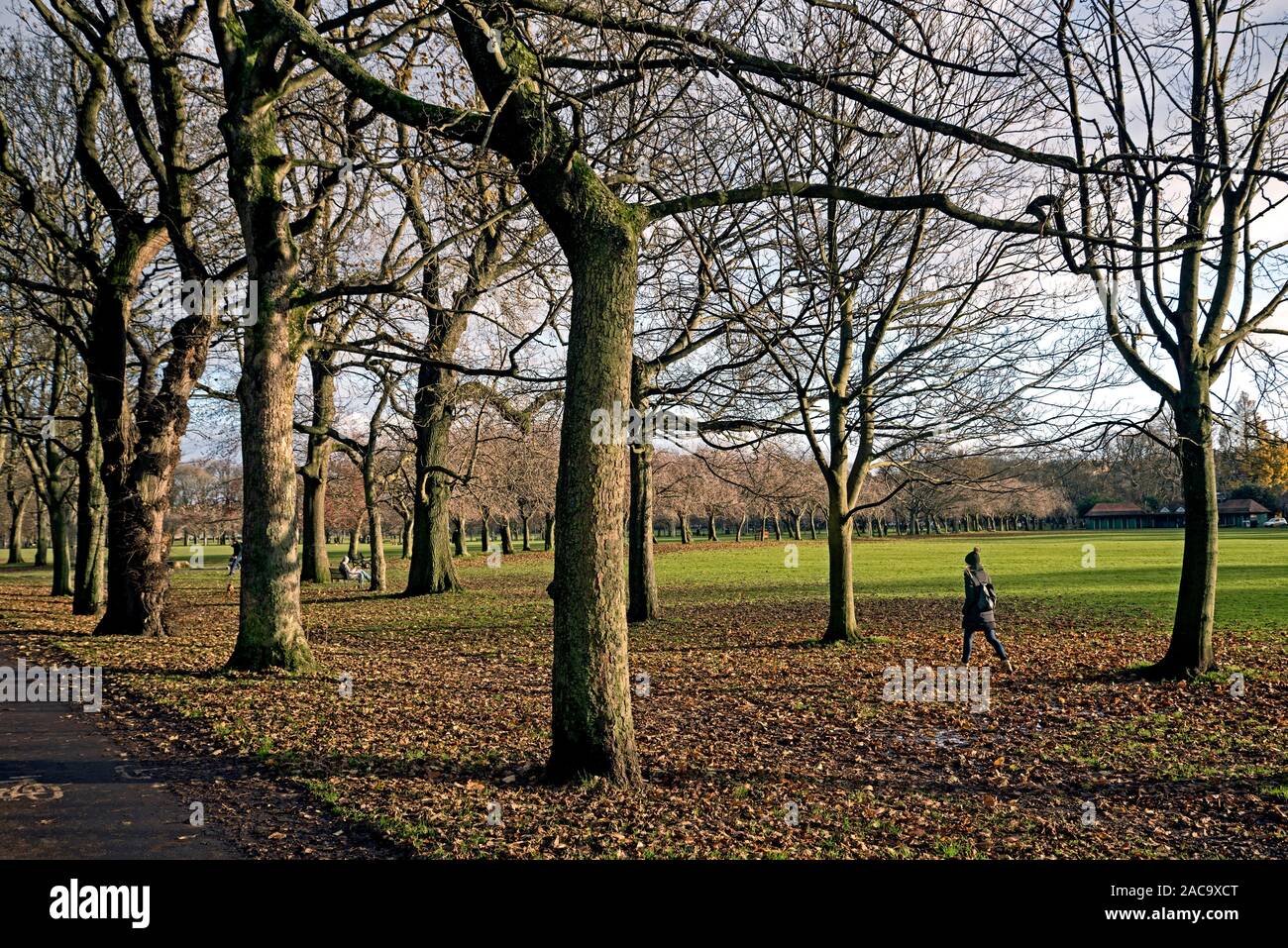 Sonnigen Tag im Spätherbst in den Wiesen, Edinburgh, Schottland, Großbritannien. Stockfoto