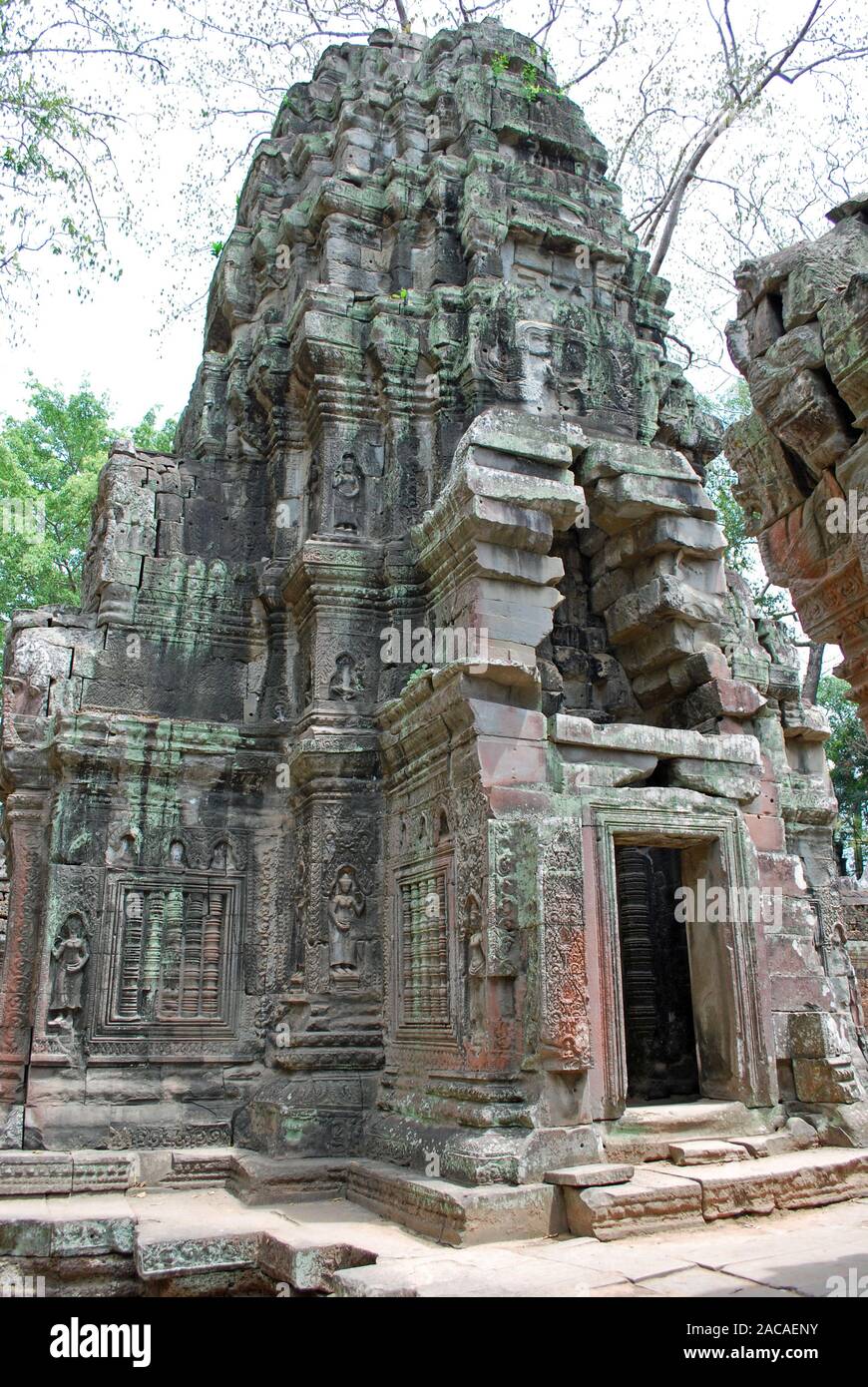 Tempel Angkor Wat Stockfoto