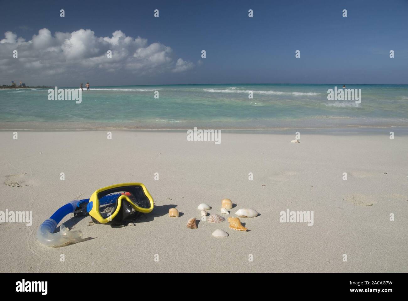 Taucherbrille und Muscheln am Strand Stockfoto