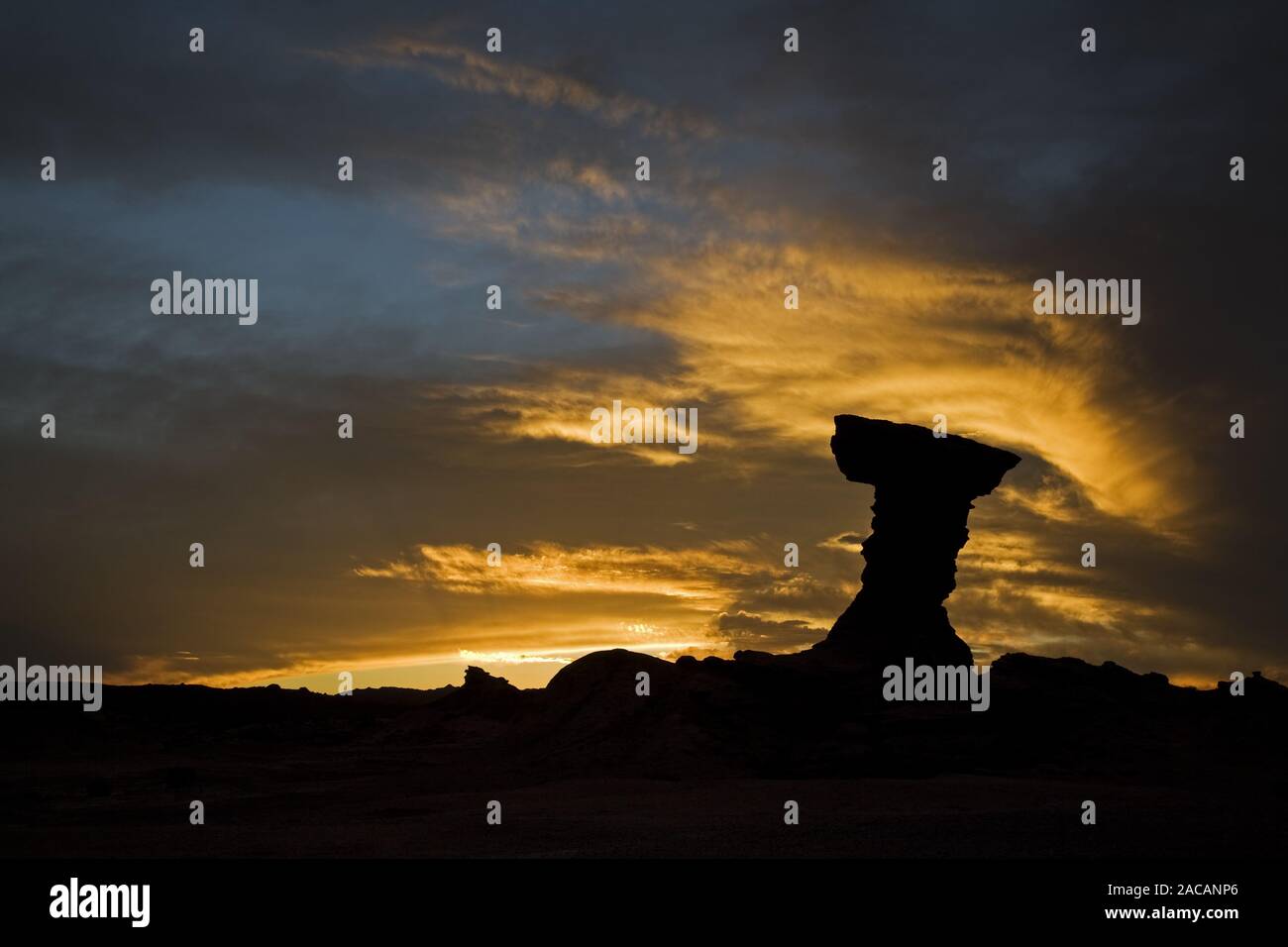 Pilzfoermige El Hongo Felsformation im Abendrot, Parque Provincial Ischigualasto, Anden, Argentinien, Mushroom Rock bei Sonnenuntergang, Stockfoto