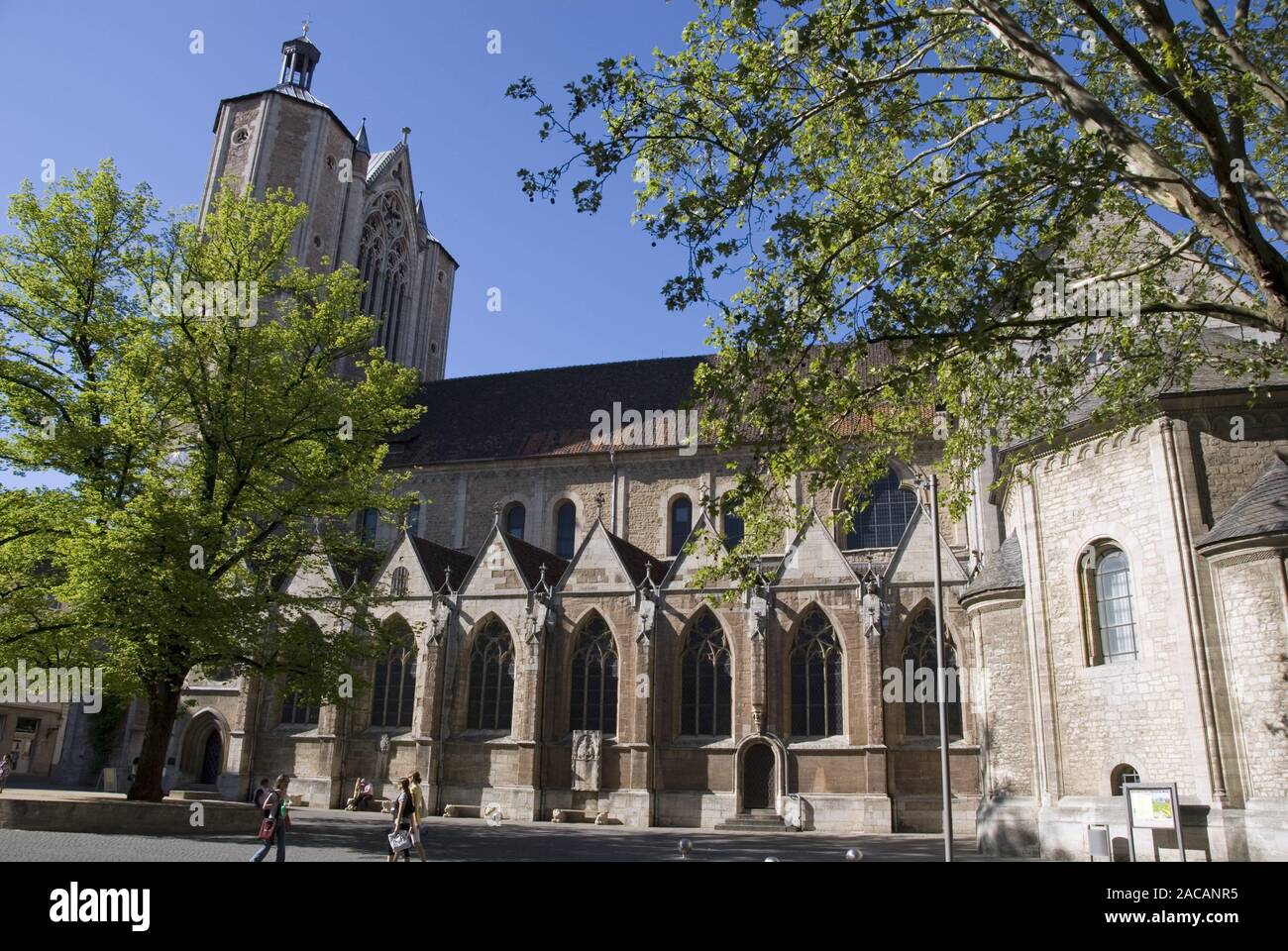 Dom St. Blasii Stockfoto