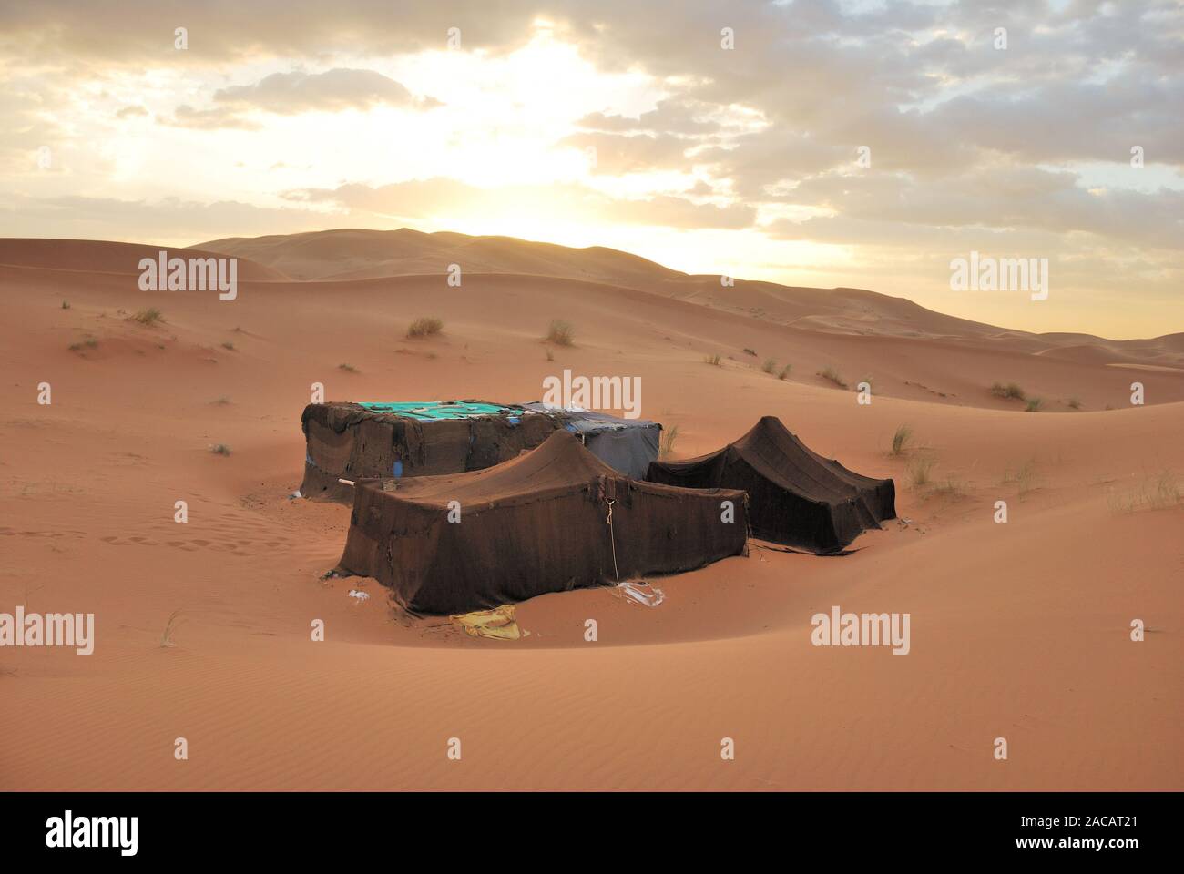 Berberzelt in der Danddünen, Erg Chebbi, Marokko, Nordafrika Stockfoto