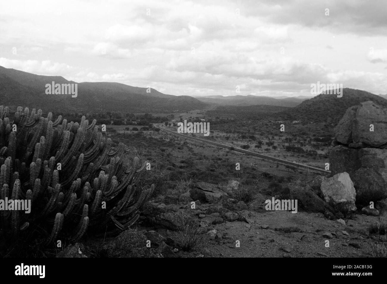Wüste vor Sierra Madre, 1963. Wüste mit Sierra Madre in den Rücken, 1963. Stockfoto