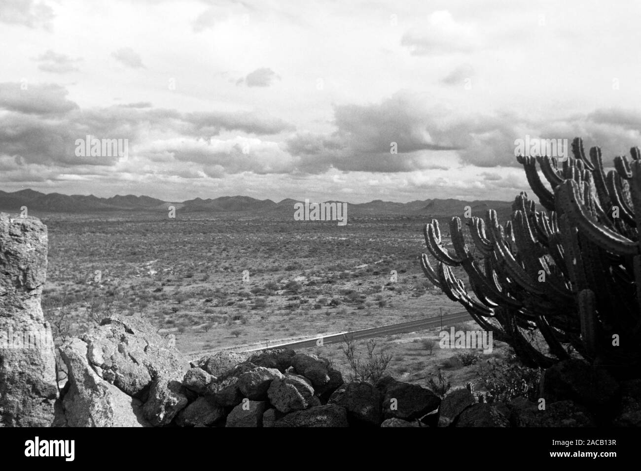 Wüste vor Sierra Madre, 1963. Wüste mit Sierra Madre in den Rücken, 1963. Stockfoto