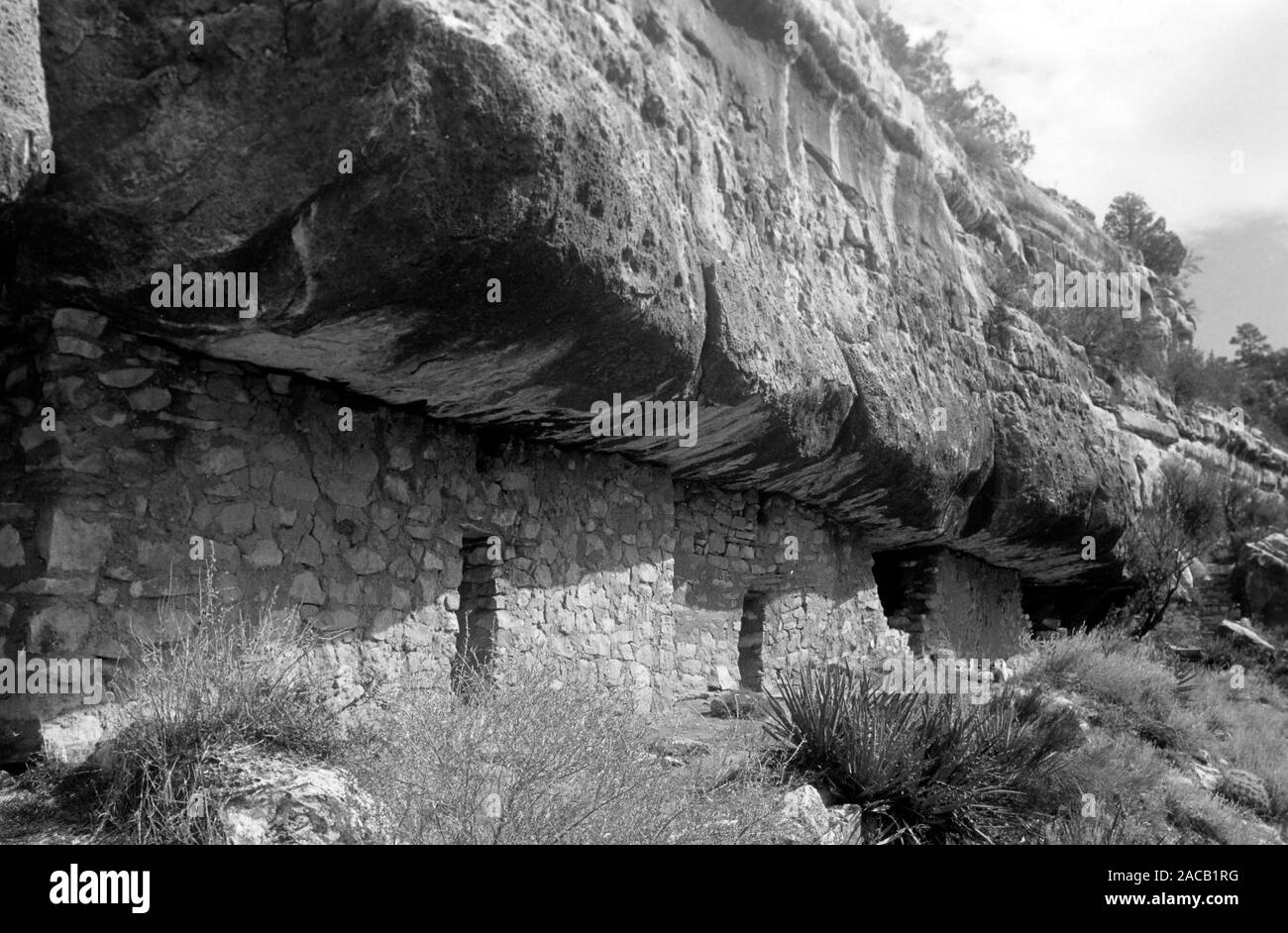 Kliff-Wohnungen von Pueblo- und Hopistämmen im Walnut Canyon, bewohnt bis 1200 n.Chr., 1962. Cliff dwellings von Pueblo und Hopi Stämme in Walnut Canyon, bis 1200 a.C., 1962 bewohnt. Stockfoto