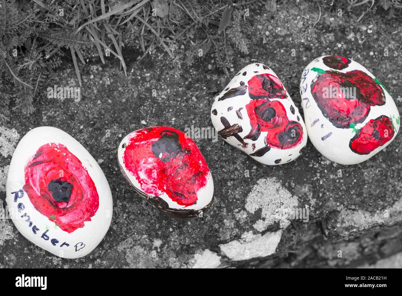 Steine Steine für den Tag der Erinnerung in einer Reihe, die bis zu den Eingang von Christchurch Priory, Dorset Großbritannien im November IN EINE REIHE gelegt lackiert Stockfoto