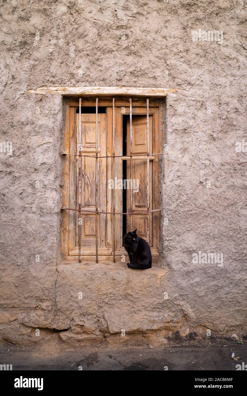 Eine schwarze Katze im Fenster eines verlassenen Hauses auf einer Straße Stockfoto