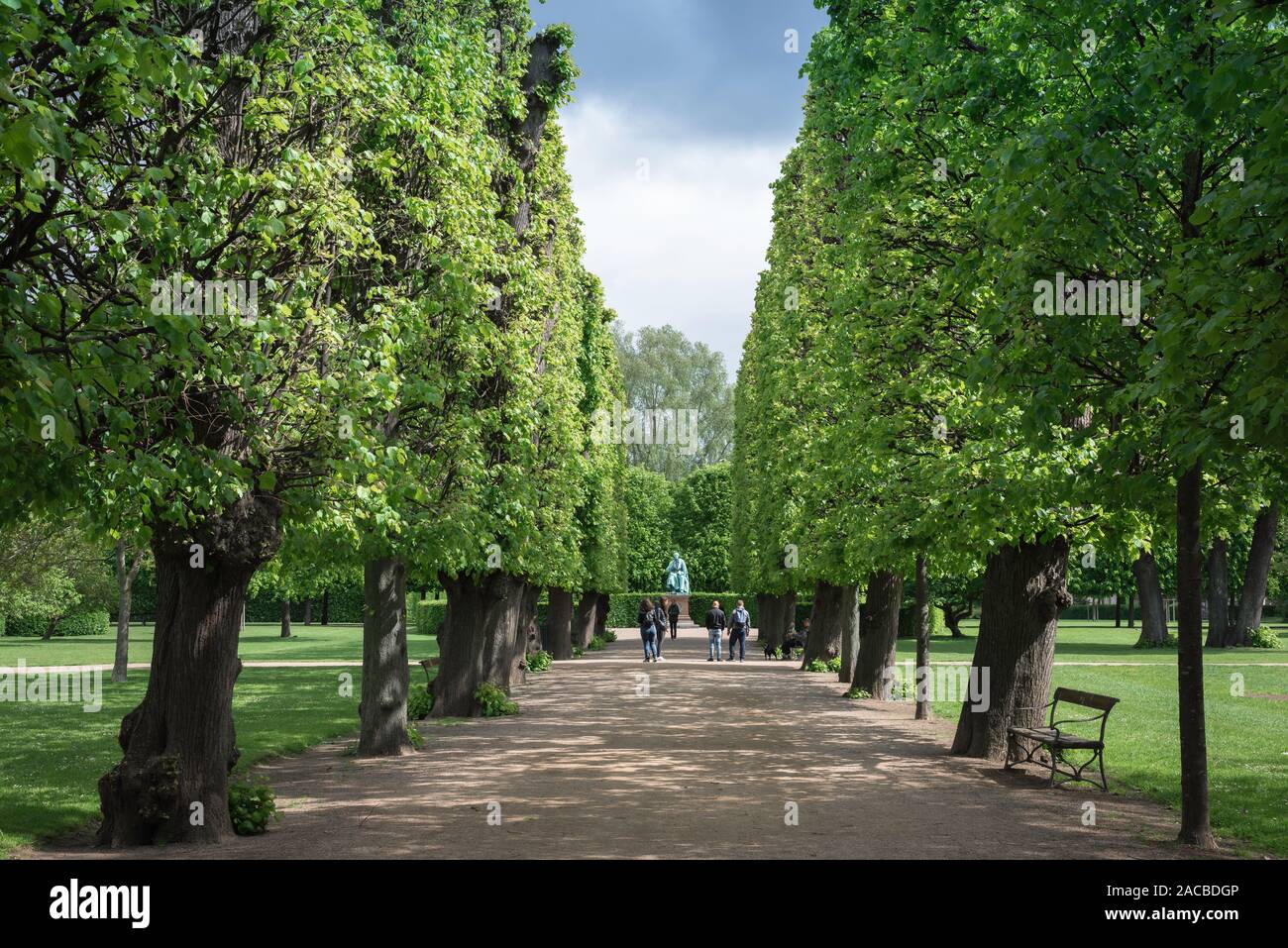 Park Kopenhagen, Aussicht an einem Sommertag an einem von Bäumen gesäumten Allee in Kongens Have, der ältesten königlichen Gärten in Dänemark. Stockfoto