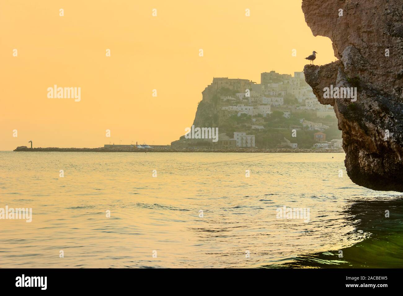 Peschici Altstadt: Reflexionen am Ufer bei Sonnenaufgang mit Möwe auf den Felsen. Peschici ist berühmt für seine Badeorte, sein Gebiet gehört t Stockfoto