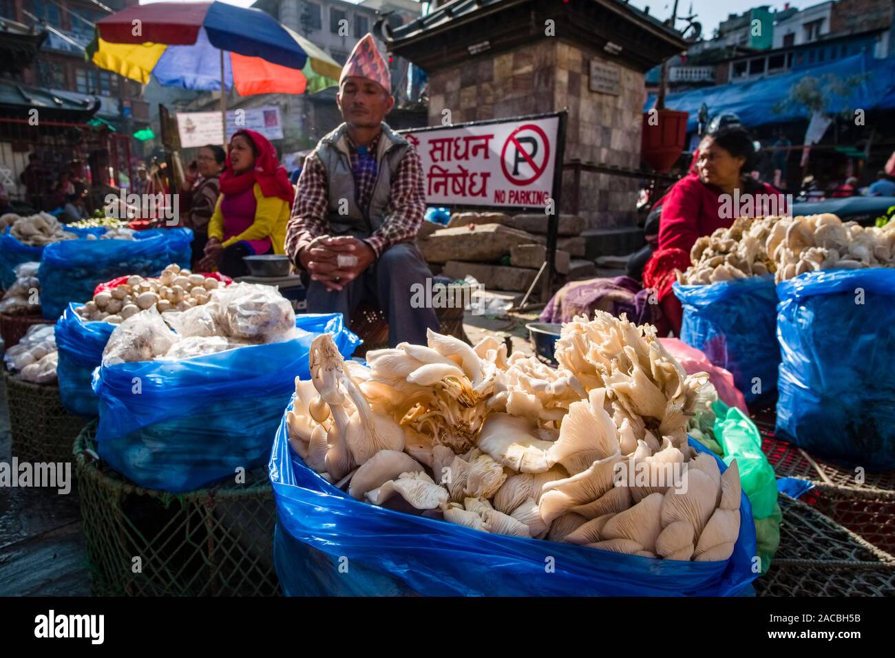 Straßenhändler verkaufen Pilze auf dem lokalen Markt Stockfoto