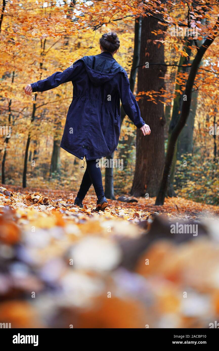 Ansicht der Rückseite Frau genießen Herbst Spaziergang im Wald - candid Lebensstil im Freien im Herbst Jahreszeit - mit Kopie Raum Stockfoto