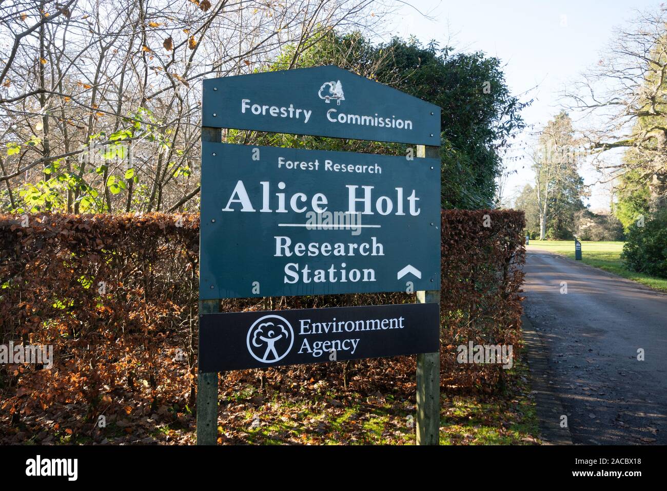 Alice holt Forest Research Station Eingang und Melden (Forstverwaltung) in Hampshire, Großbritannien Stockfoto