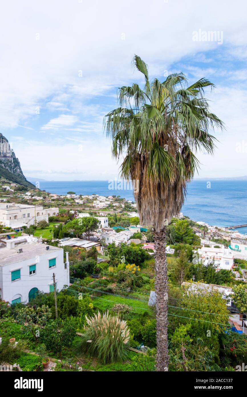 Blick von Capri Stadt in Richtung Marina Grande, Capri, Italien Stockfoto
